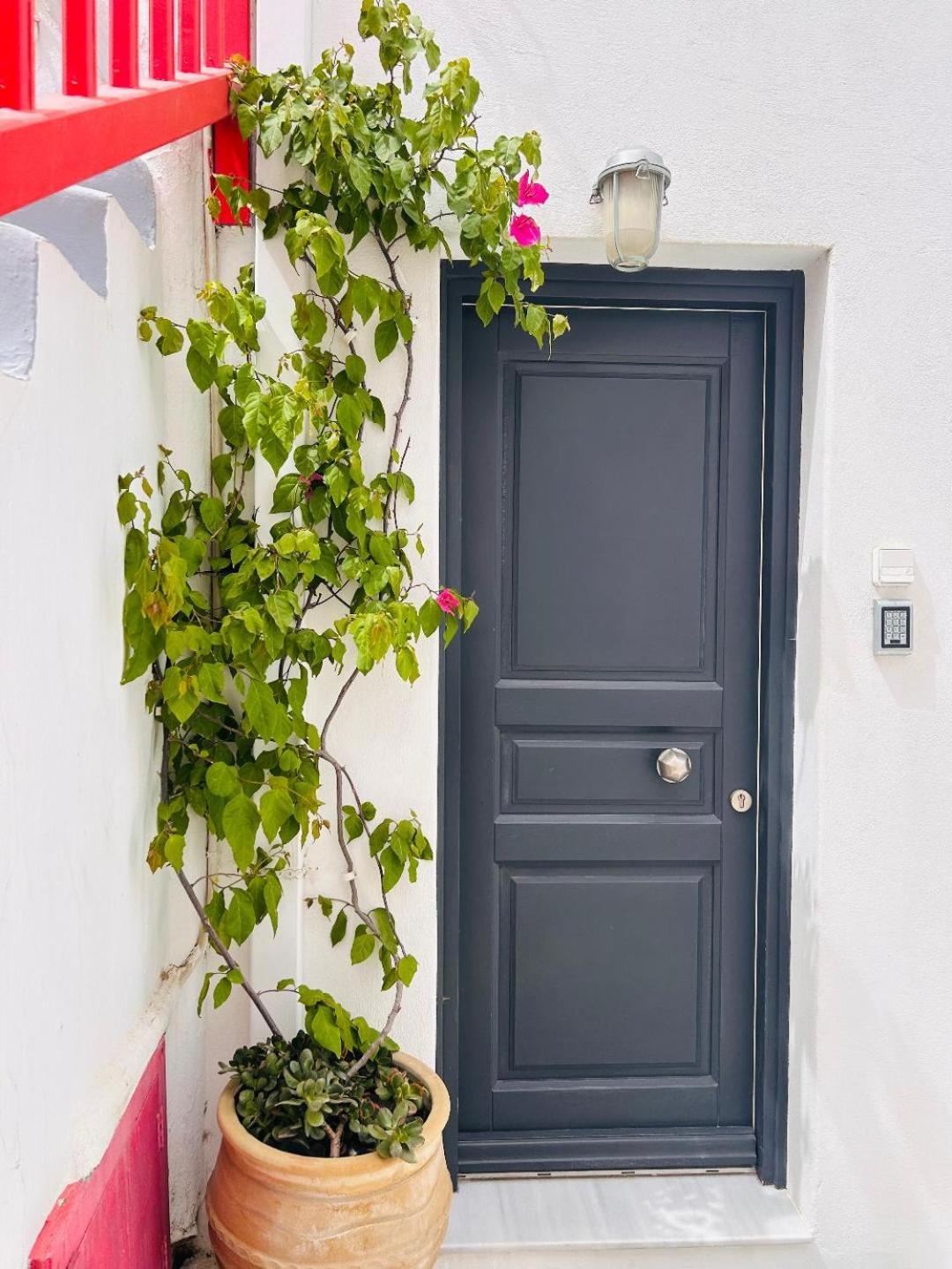 Levandamykonos Mykonos Town Bagian luar foto